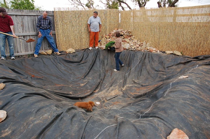 Family helping out.jpg